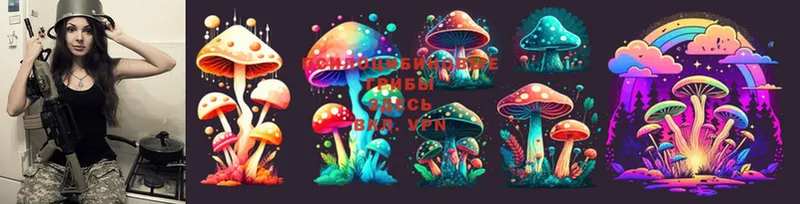 ОМГ ОМГ зеркало  Скопин  Псилоцибиновые грибы Magic Shrooms 